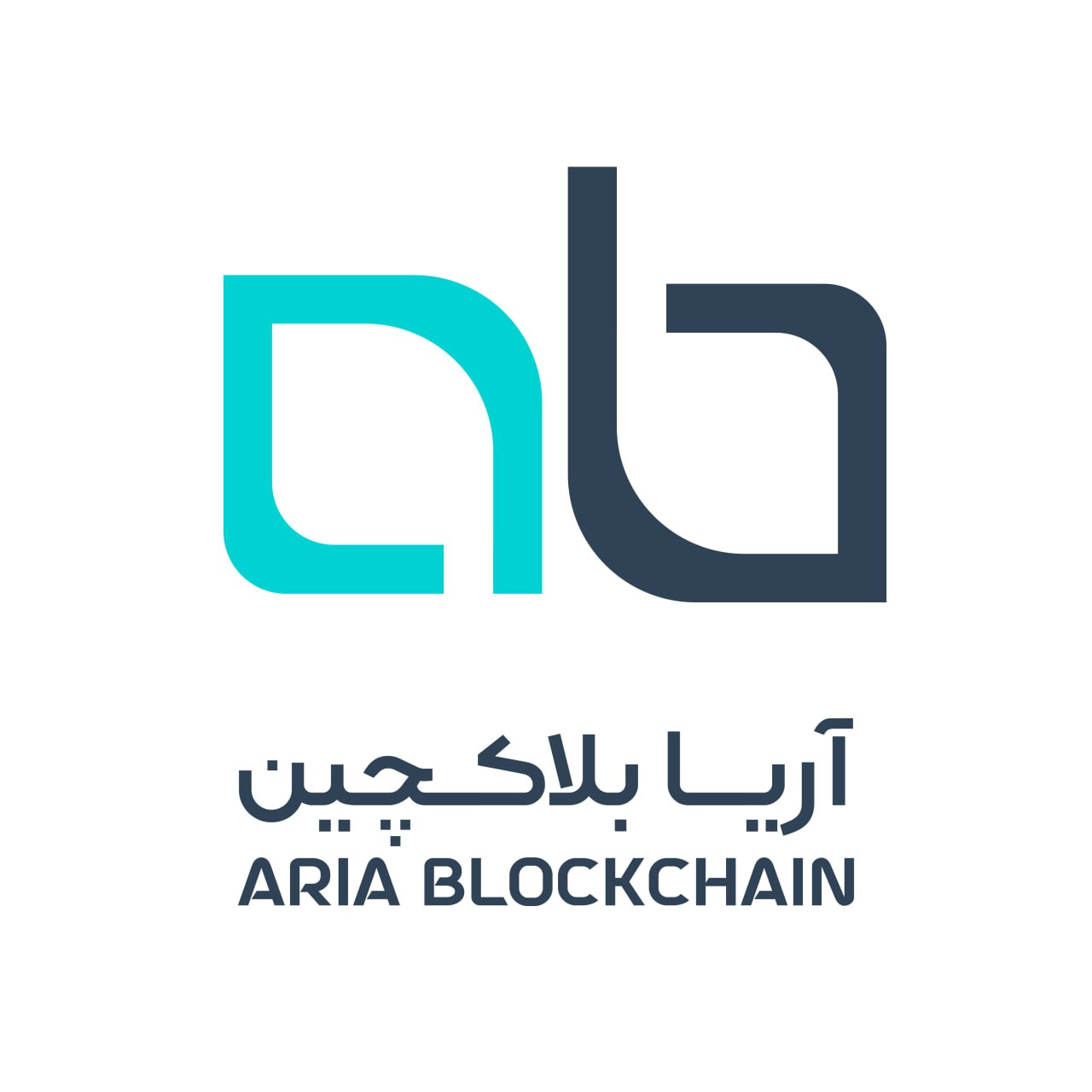 موسسه آموزشی و آکادمی آریا بلاکچین