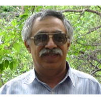 حسام‌الدین ارفعی