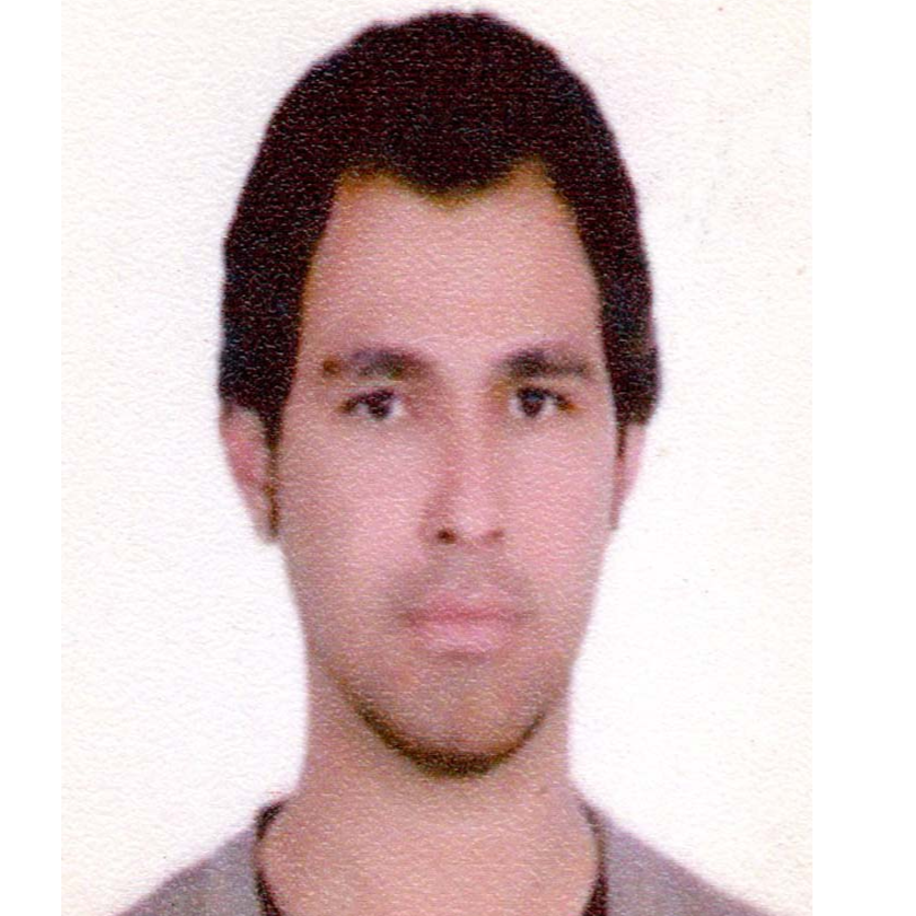 محمدرضا صالحی