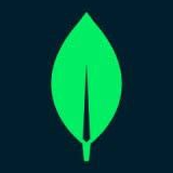 MongoDB Inc MongoDB Inc