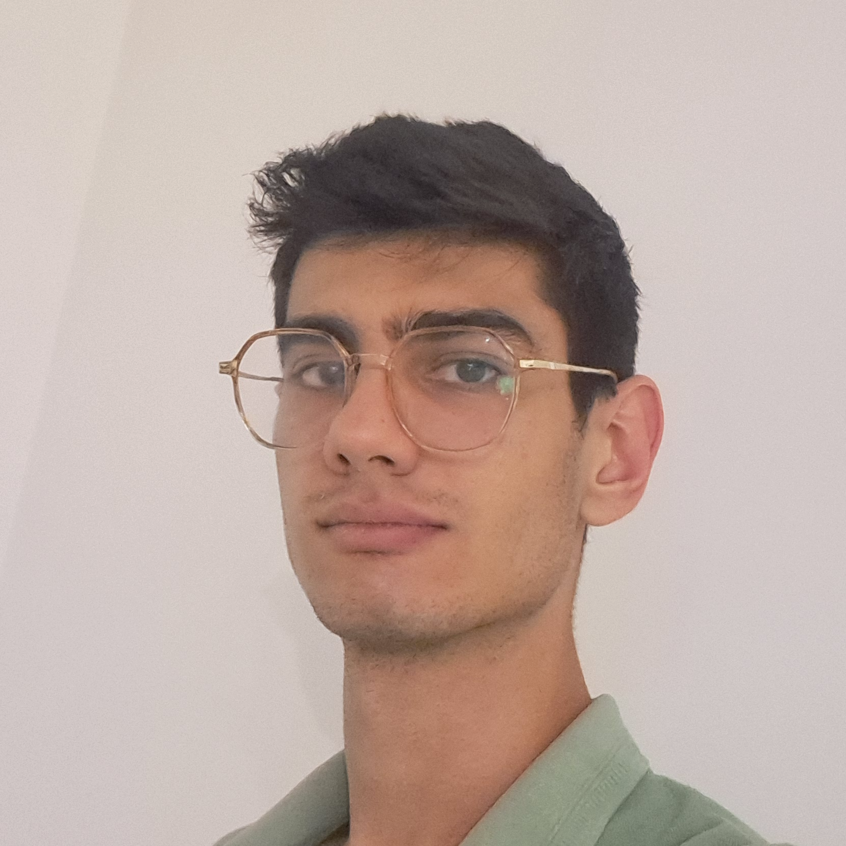 محمد حسین میرتقوی