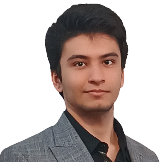 امیرصدرا لطفی میامی