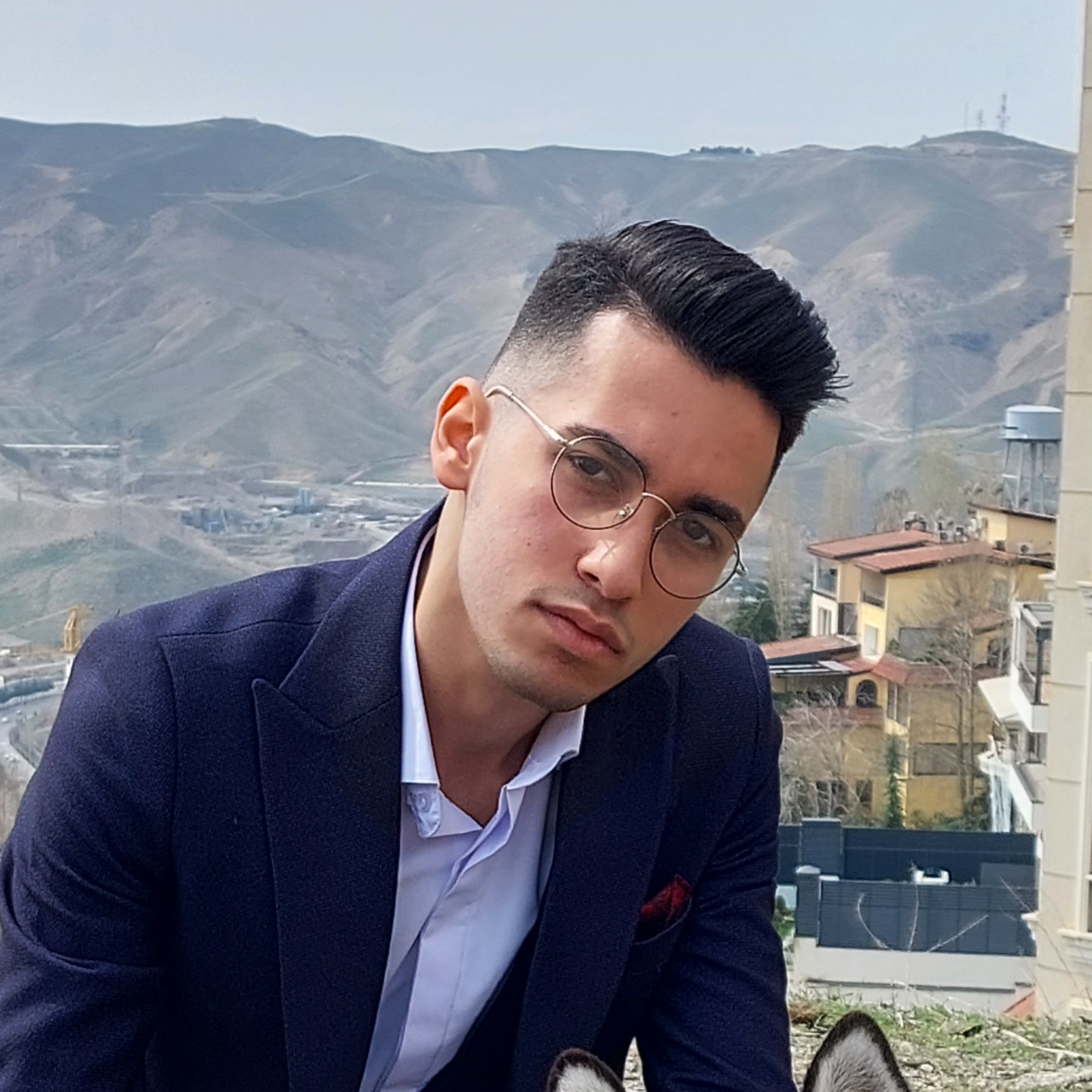 آرتین محبی