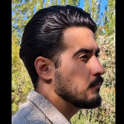 امیرصالح سلمانی اصل