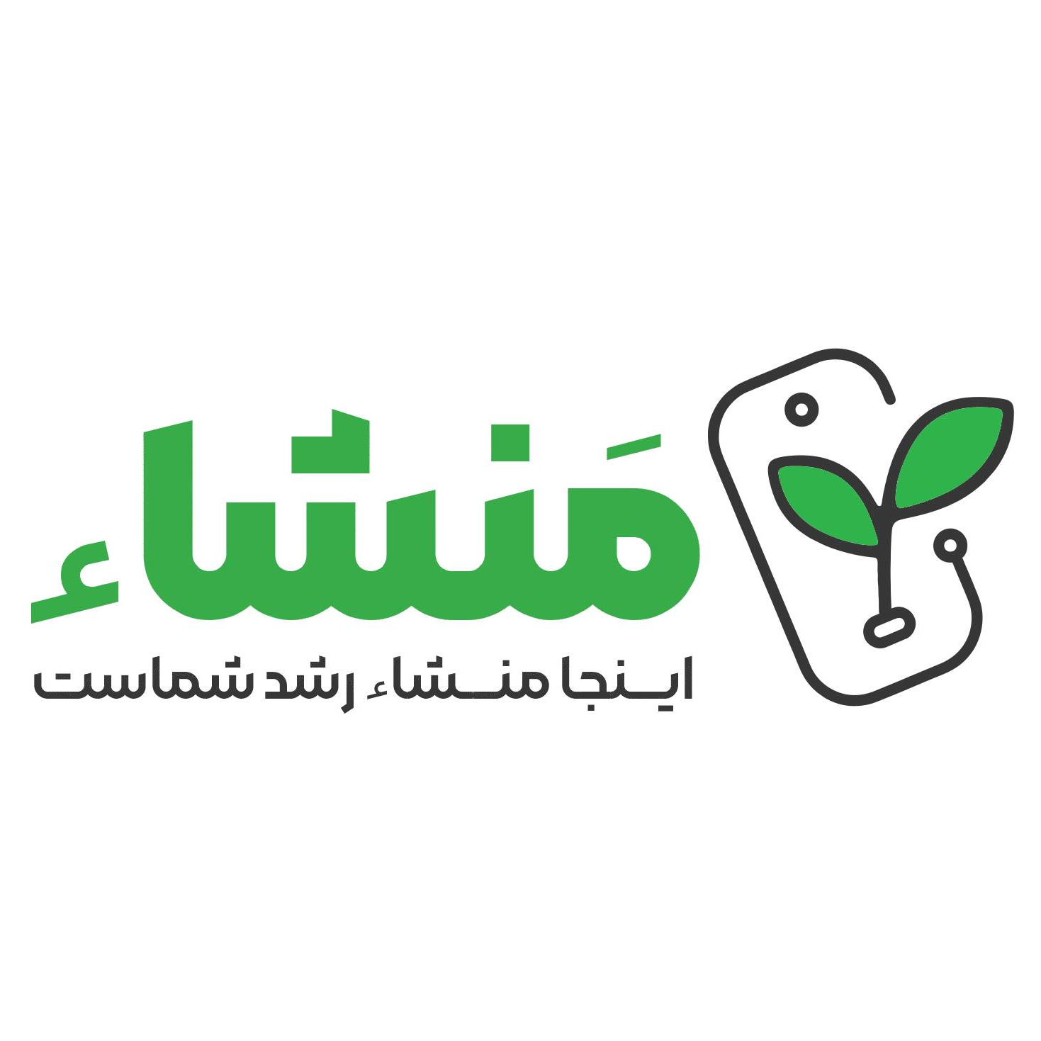 مدرسه تخصصی منشاء