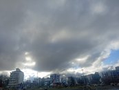 آریا قوامی