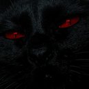 علیرضا صالح نژاد