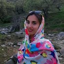 ریحانه مهری