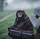 سهیل مهرابی