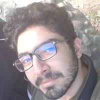 محمدحسین حسنی خردمند محمدحسین حسنی خردمند